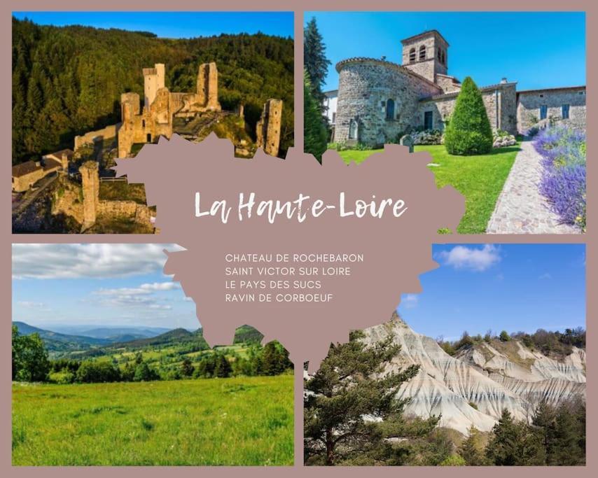 Le Puy-en-Velay Le Lagon Bleu - Appt Wifi Parking Balcon מראה חיצוני תמונה
