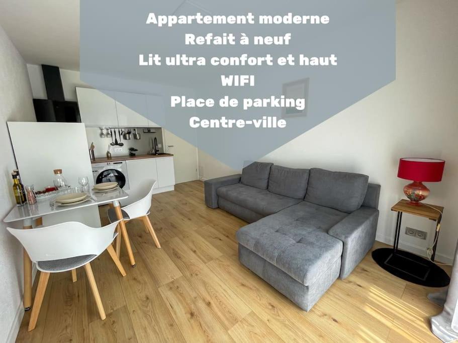 Le Puy-en-Velay Le Lagon Bleu - Appt Wifi Parking Balcon מראה חיצוני תמונה